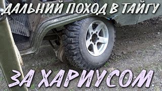ДАЛЬНИЙ ПОХОД В ТАЙГУ НА ГОРНУЮ РЕКУ ЗА ХАРИУСОМ / РЫБАЛКА ЛЕТО 2018