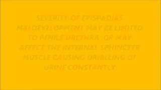 Human penis part 6 EPISPADIAS 18+ Educational purposes only.(jklakhani)