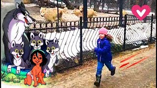 Ржу не могу, ржомба. Приколы с детьми в зоопарке с волками. Тест на психику. 0+