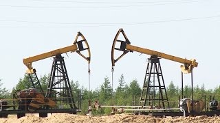55 лет месторождению Западное Сабо
