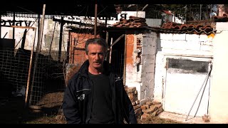 ΠΕΡΙΣΤΕΡΙΑ ΒΑΣΙΟΥΡΗΣ ΚΩΣΤΑΣ ΠΡΩΤΗ ΦΟΡΑ ΣΤΗ ΓΙΟΡΤΗ - ΣΥΛ. ΠΕΤΡΑΣ 2020