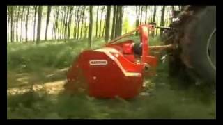 Измельчитель-мульчирователь Gaspardo Tornado 230/250/280/310