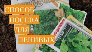 Посев Салата и Укропа. Способ для Ленивых. Севооборот в Теплице.