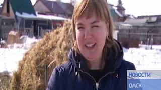 НОВОСТИ от 20 03 19_Антенна 7_Омск