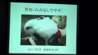 小倉　フクシマの真実と内部被曝 2012.6.16(土)