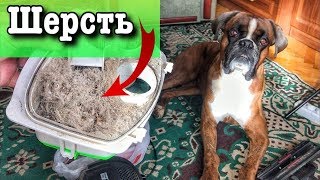 А ты еще хочешь завести собаку?/Шерсть в квартире