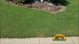 Q&A - What kind of bermuda grass do I have?