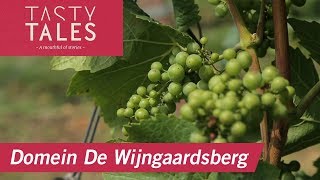 Domein De Wijngaardsberg (Ulestraten) • Tasty Tales