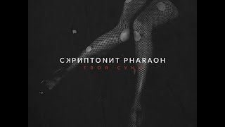 Скриптонит Ft. Pharaoh - Твоя сука, такая тупая