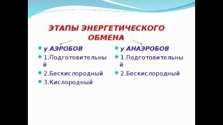 Этапы превращения энергии: подготовительный, анаэробный, аэробный