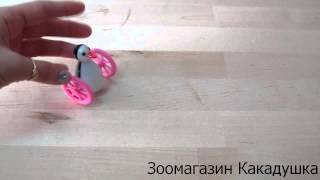 Игрушка для попугая "Пингвин на колесах"