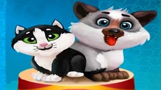 Kitty & Puppy Love  story #2 -  ЛЮБОВЬ КОТЕНКА и ЩЕНКА игровой мультик про питомцев