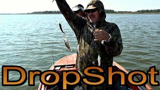 Дроп Шот (DropShot) - ответы на вопросы.