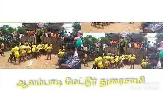 திருச்சி மாவட்டம் ஆலம்பாடி மேட்டூர் துரைசாமி மாடு