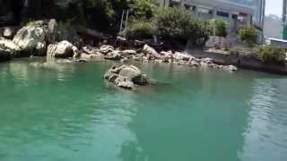 Off Grid Teak Boat 51