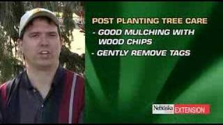 Tree Planting Tips