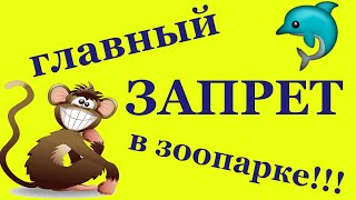 Главный ЗАПРЕТ в зоопарке!!!