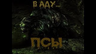 S.T.A.L.K.E.R.: В Аду... "ПСЫ"