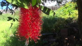 iPhone SE 4K Video Test