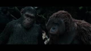 La planète des Singes - Suprématie : dans les coulisses du film