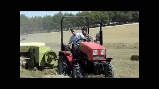 Compact tractor Belarus-321 in Algeria / Трактор Беларус-321 в Алжире