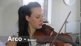Violin Bowing Terms Explained