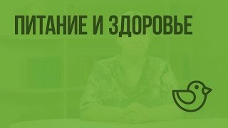 Питание и здоровье. Видеоурок по окружающему миру 2  класс