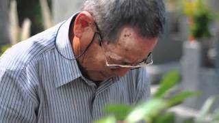 Japan - An Insight into Daily Life (with English Subtitles)