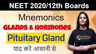 Tips To Remember Glands & Hormones | Pituitary Gland |  NEET 2020 | Class 12 Boards