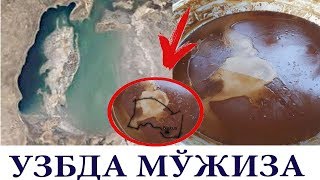 ОРОЛ ДЕНГИЗИ ХАҚИДА ЯНГИ МАЪЛУМОТ