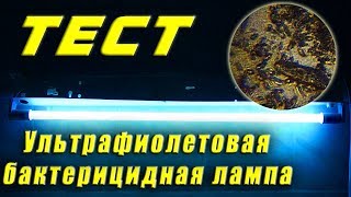 Ультрафиолетовая бактерицидная лампа. Реальный тест. Для облучателя рециркулятора воздуха Армед.
