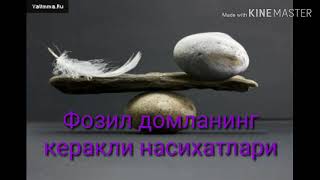 Фозил кори эшитинг афсусланмайсиз.