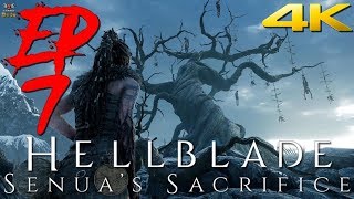 Hellblade: Senua’s Sacrifice Прохождение Эпизод 7 - Испытания Одина