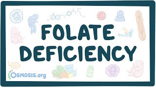 Folate deficiency - causes, symptoms, diagnosis, treatment, pathology
