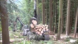 Harvester im Einsatz-2011