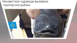 Сюжет ТСН24: А была ли в Упе «чудо-юдо-рыба»?
