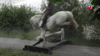 Flowerhill Equestrian Centre