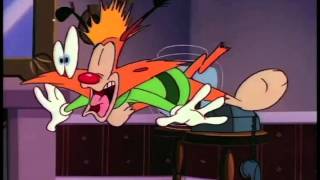 Bonkers Intro (HQ)