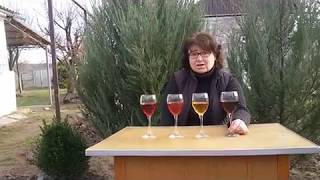 Домашнее виноделие. Часть 3. Фруктовые и ягодные вина