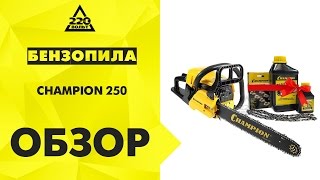Обзор Бензопила CHAMPION 250