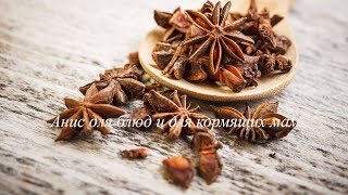 Анис - его польза и вред