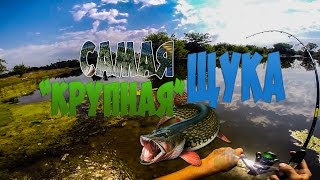 Самая "крупная" щука (микроджиг, воблеры) + "рецепт" снасточки для ловли щуки