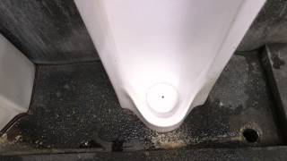 【HD版】 TOTO U53 6 Urinal Flushing