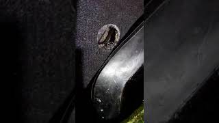 Запотевание стекл на Chevrolet Lacetti . Установка Вентиляционных решеток.