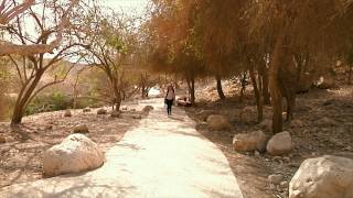 The Bakery - The Israel Experience