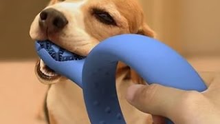 САМЫЕ КРУТЫЕ ТОВАРЫ ДЛЯ СОБАК С АЛИЭКСПРЕСС. 10 КРУТЫХ ВЕЩЕЙ С ALIEXPRESS FOR DOGS
