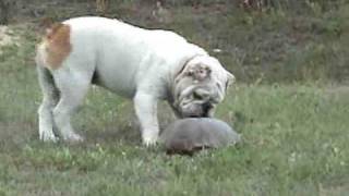 Cooper and Gameron