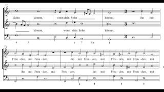 Schütz: O lieber Herre Gott (287) - Herreweghe