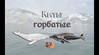 Русская Рыбалка 3.99 Ловим китов - стрим