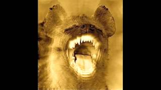 ～MORE REALITY～song by yoyo-c on his album 2003.(juke box records)